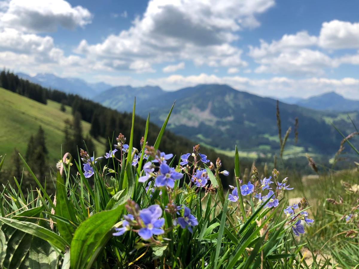 Bergquell Tirol Appartement Jungholz Buitenkant foto